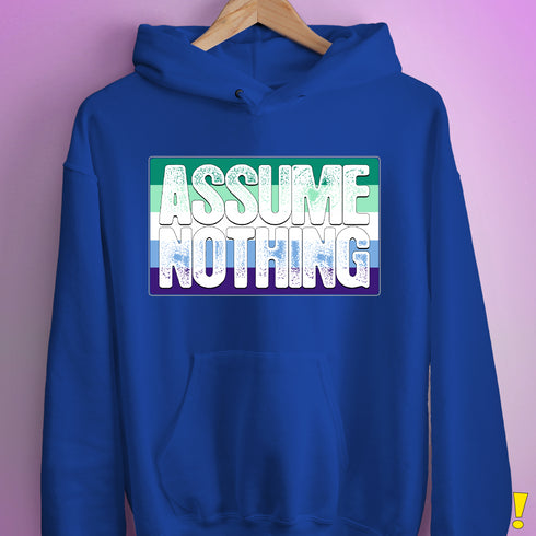 Assume Nothing Gay Male Pride Flag Hoodie - Royal Blue